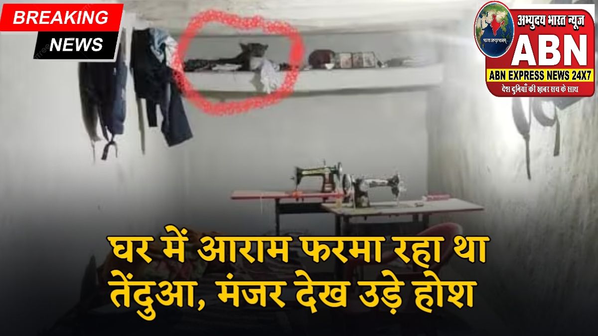 भागो… घर में आराम फरमा रहा था तेंदुआ, मंजर देख उड़े होश, जान बचाकर भागे ग्रामीण