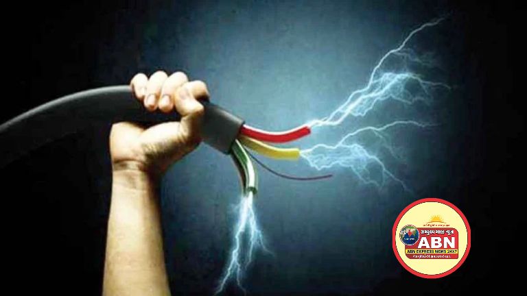 खेत में बिछा था मौत का जाल: चारा काटते समय 11 हजार की लाइन की चपेट में आए दो दोस्त, दोनों की दर्दनाक मौत